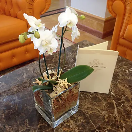 Hotel Conchiglia Cervia